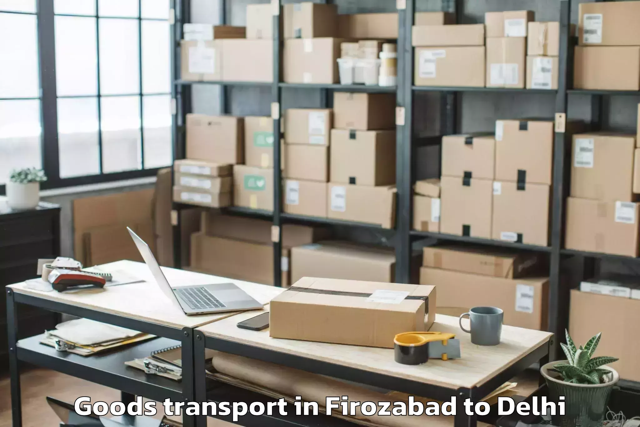 Professional Firozabad to Naraina Industrial Estate Goods Transport